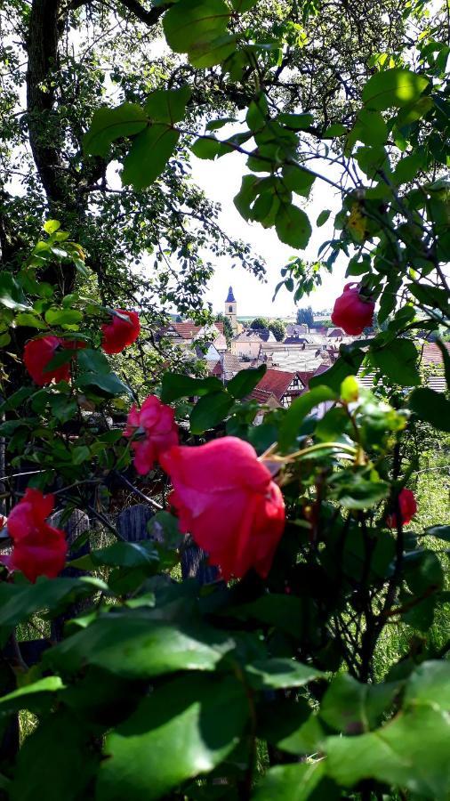 Chambres D'Hotes "La Petite Vallee" Rott Kültér fotó